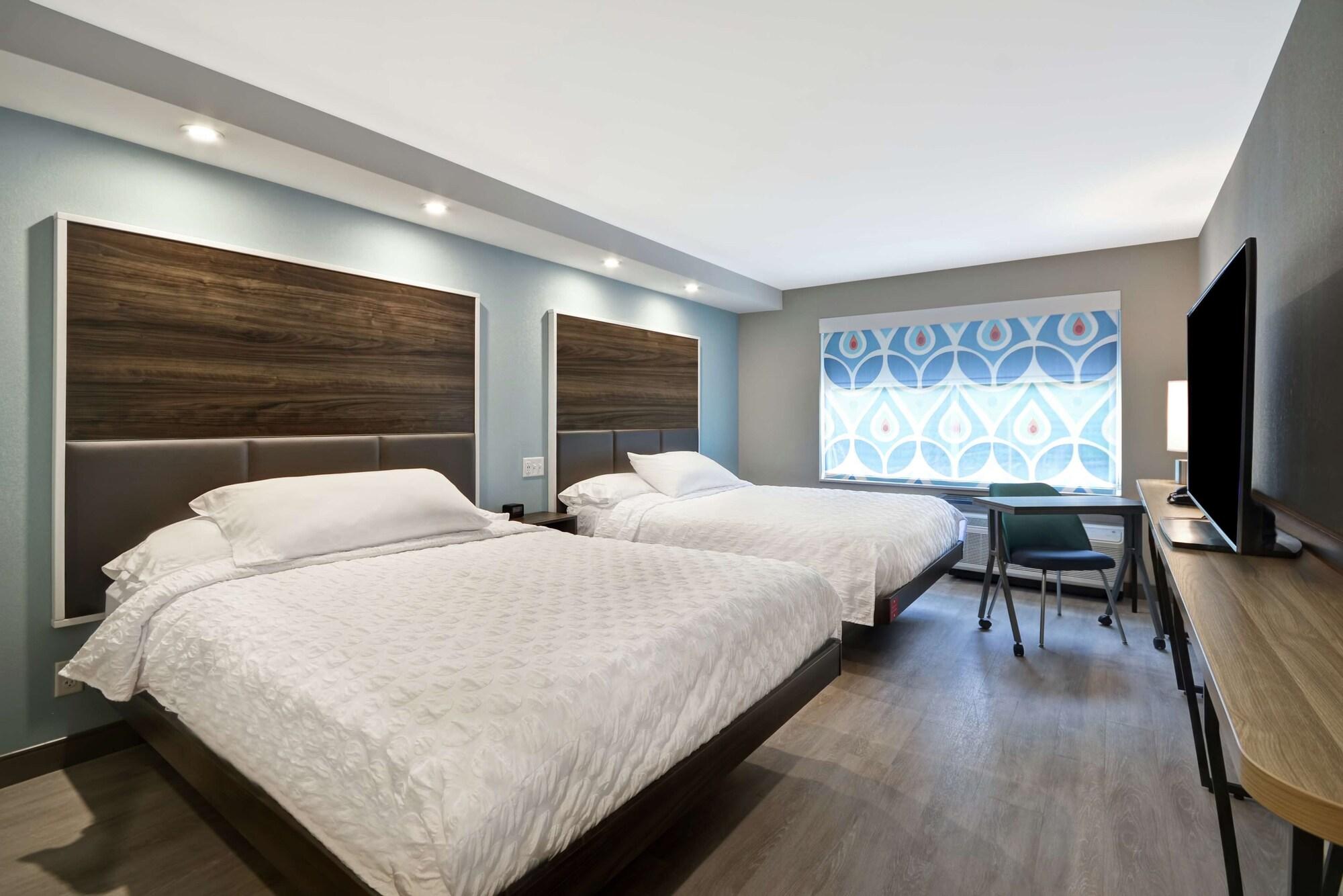 מלון Tru By Hilton Chicopee Springfield מראה חיצוני תמונה